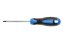 Šroubovák torx T25, 100 mm, ocel S2