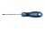 Šroubovák torx T25, 100 mm, ocel S2