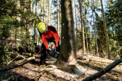 Aku řetězová pila MS 36-18 LTX BL 40 bez aku